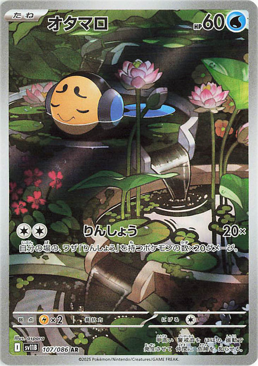 Tympole AR - 107/ 086 -