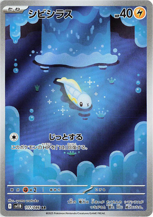 Tynamo AR - 117 / 086 -