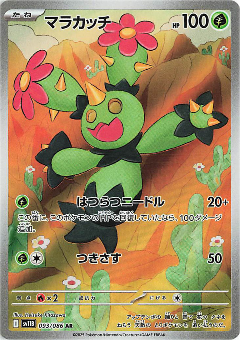 Maractus AR - 093/ 086 -