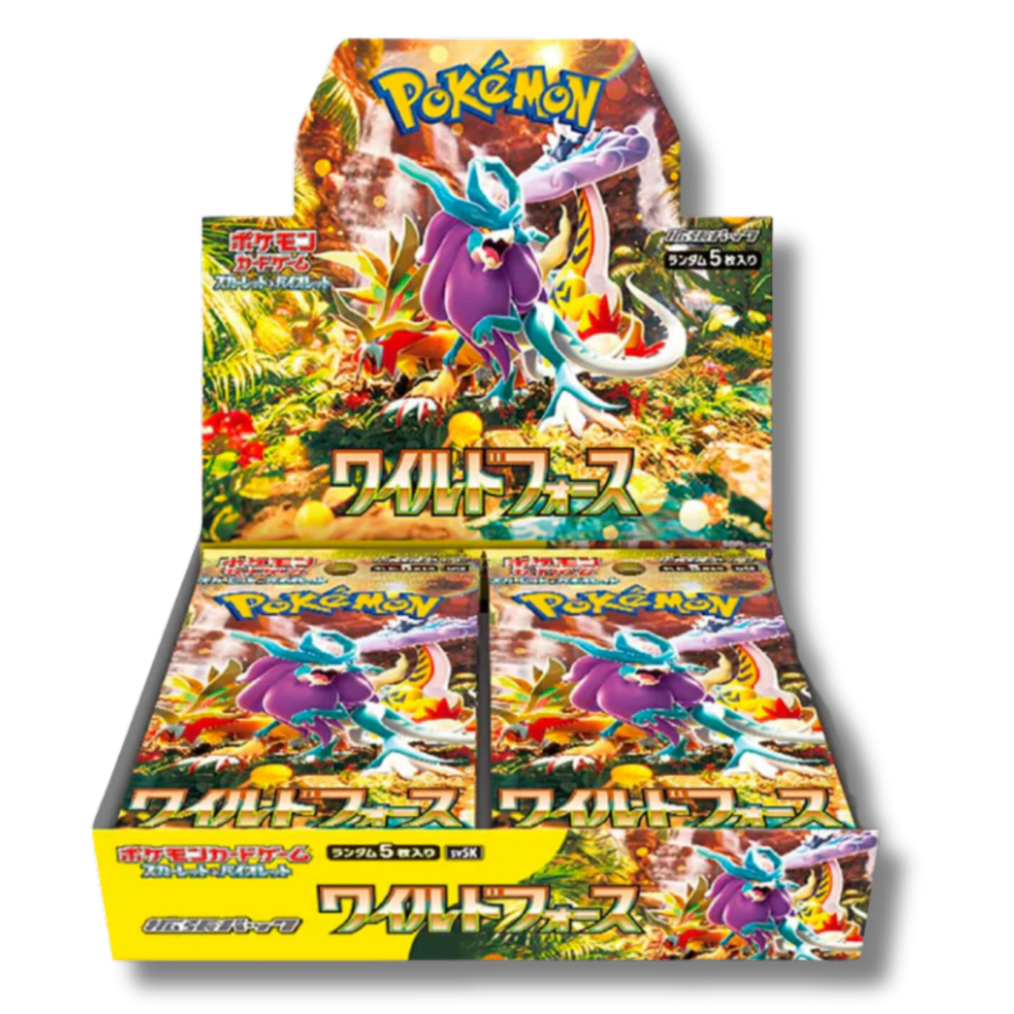 Wild Force Display 30 Buste - SV5K -