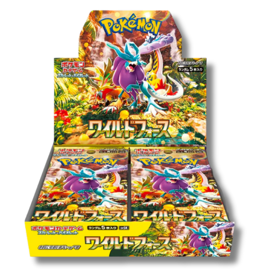 Wild Force Display 30 Buste - SV5K -